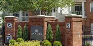 Avalon Tysons Corner Gallery 42