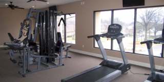 bg0324 Gallery 7