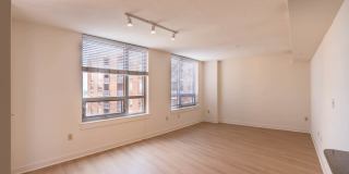 The Veridian Gallery 20