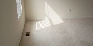 304 Gray Fox Court Gallery 16