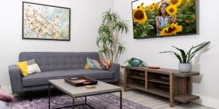 Mihir Taylor Gallery 7