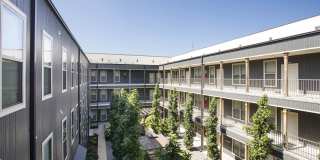 Thrive Argenta Gallery 20