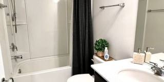 538 Watercress Drive Gallery 18