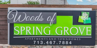Woods of Spring Grove Gallery 12