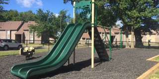 Woods of Castleton Gallery 14