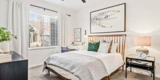 The Soleil Gallery 8