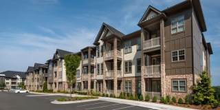 Timberline View Gallery 3