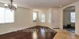 5441 Mossy Stone Way Gallery 14