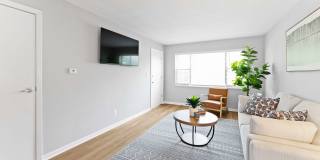 The View on Vivion Gallery 10