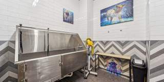 Chroma Gallery 5