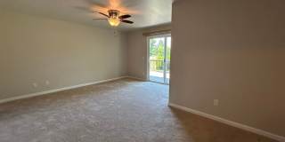 329 Oak Leaf Circle Gallery 19
