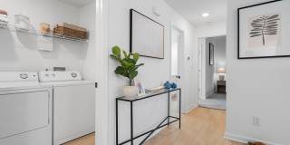Avana Lexington Gallery 39