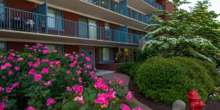 Steward Tower Apartments Gallery 27