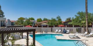 Cortland North Tucson Gallery 14