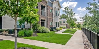 The Adley Craig Ranch Apartments The Adley Craig Ranch Apartments Gallery 22