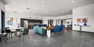 The Galaxy at Polaris Gallery 54