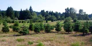 2 Bedroom 1 Bath 957 sq ft Gallery 75