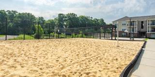 The Greyson Gallery 38