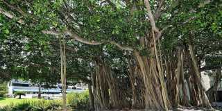 835 S OSPREY AVENUE Gallery 41