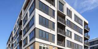 The Collins The Collins Gallery 1