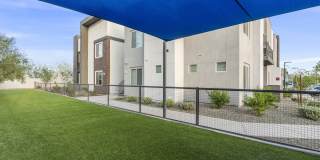 The Aster at Mountain Vista - BRAND NEW Gallery 37