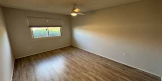 55+ Sun City Home Gallery 17