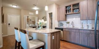 Century Dunes Gallery 22