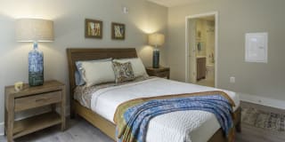 Arcade Sunshine Gallery 54