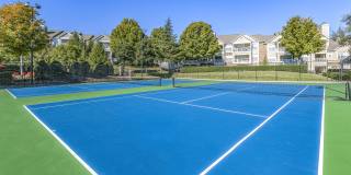 Affordable Housing - Elan at Mallard Creek Apartment Homes Gallery 34