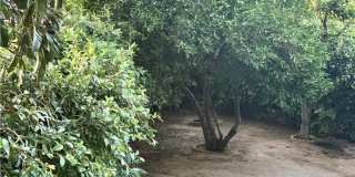 5246 Calderon Road Gallery 27