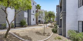 Mandarina Apartment Homes Gallery 20