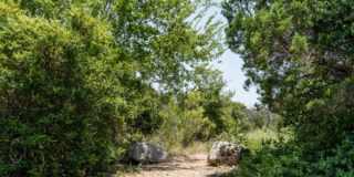 2301 S MoPac Expy, #1102 Gallery 8