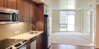 Rincon Green Gallery 3