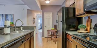 Oak Hollow Gallery 3