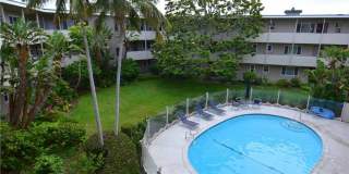 31561 Table Rock Drive Gallery 28