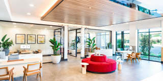 Modera Kierland Gallery 11