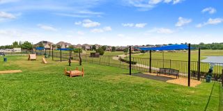 Windsor Mustang Park Gallery 22