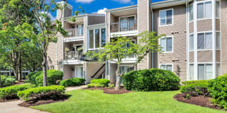 Columbia Glade Gallery 34