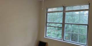 401 Hadleigh Lane Gallery 15