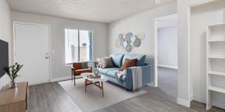 Rise Camelback Gallery 11