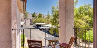 6441 N Tierra De Las Catalinas Gallery 27