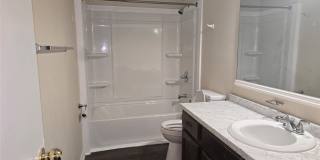 5323 Chestnut Lake Drive Gallery 11