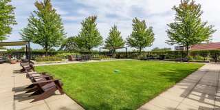 ReNew Oak Park Gallery 62