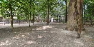 5901 MOUNT EAGLE Drive Gallery 88
