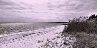 1000 Rambler Road Gallery 24