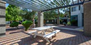 Icon on Pima Gallery 23