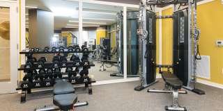 Verde at Howard Square East Gallery 11