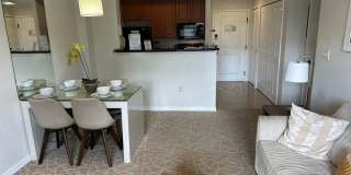 Condo-Hotel 1 Bedroom - International Dr area Gallery 1
