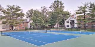 510 Sunshine Court Gallery 21