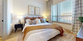 Paloma Village Gallery 4